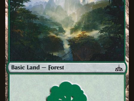 Forest (196) [Rivals of Ixalan] on Sale