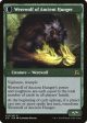 Sage of Ancient Lore    Werewolf of Ancient Hunger [Shadows over Innistrad] Discount