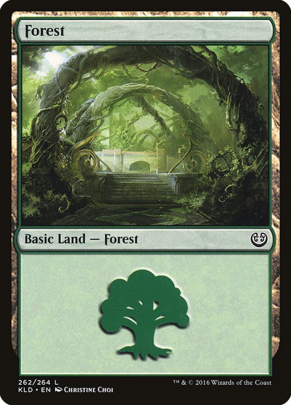 Forest (262) [Kaladesh] on Sale